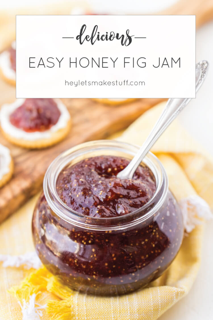 Easy Refrigerator Honey Fig Jam Hey, Let's Make Stuff