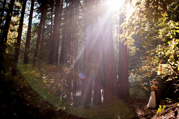 The sun peeking through the trees in the woods