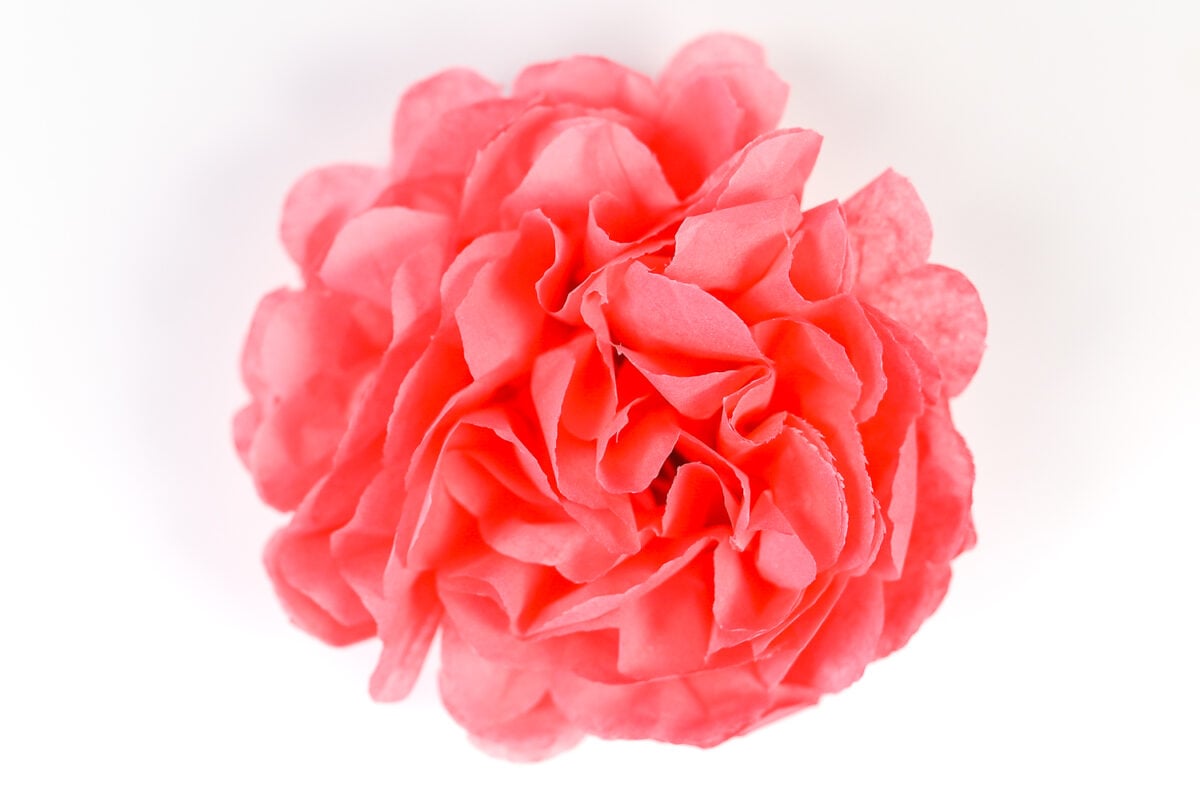 Finished Tissue paper flower to make a gorgeous event decor