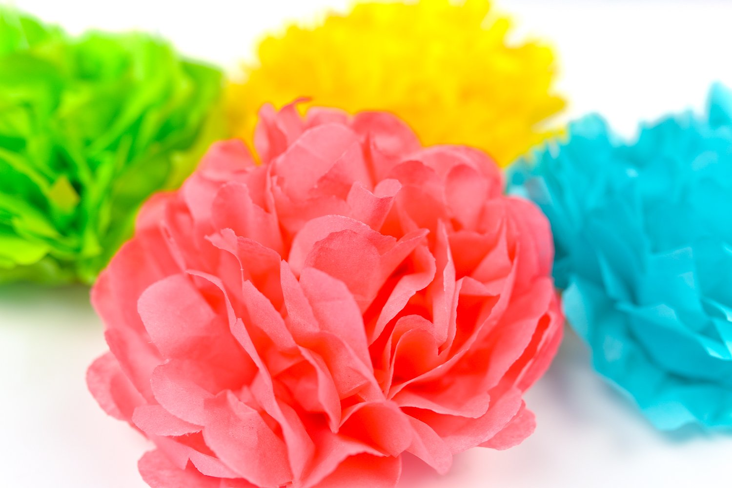 finished Tissue paper flowers