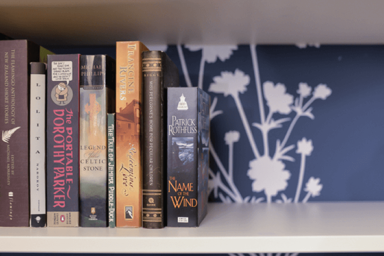 bookshelf with books and decal background on wall