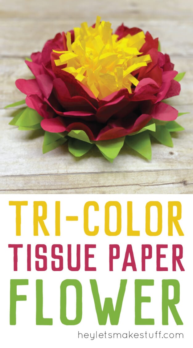 Tri-Color Tissue Paper Flowers - Hey, Let's Make Stuff