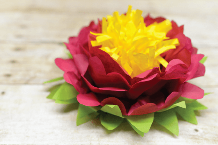 Tri-Color Tissue Paper Flowers - Hey, Let's Make Stuff