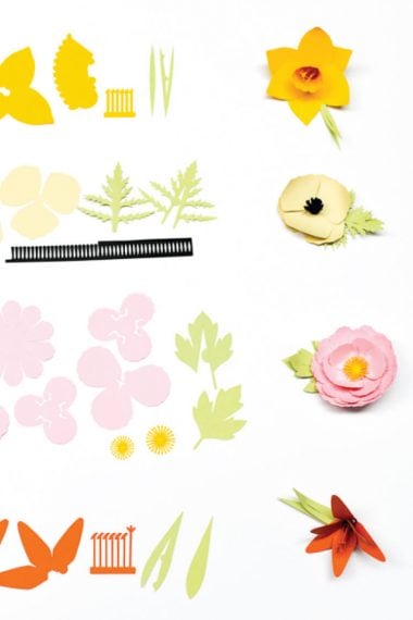 Cricut's 3D Flowers can be a little tough to assemble. Here are detailed instructions on how to assemble the Daffodil, Tiger Lily, Poppy, and Peony.