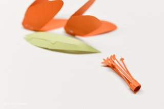 Detailed instructions on how to assemble the #Cricut 3D Flowers: Daffodil, Tiger Lily, Poppy, and Peony