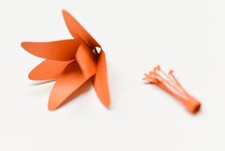 Detailed instructions on how to assemble the #Cricut 3D Flowers: Daffodil, Tiger Lily, Poppy, and Peony