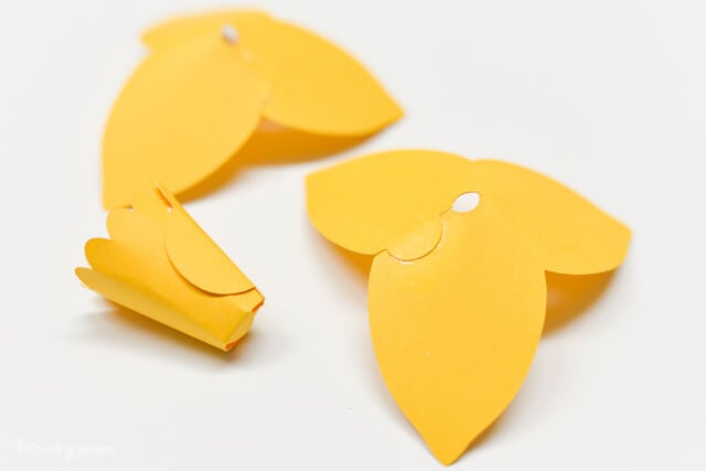 How to Assemble the Cricut Daffodil - Petals and Centered Glued
