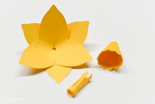 Detailed instructions on how to assemble the #Cricut 3D Flowers: Daffodil, Tiger Lily, Poppy, and Peony