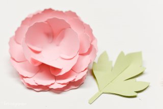 Detailed instructions on how to assemble the #Cricut 3D Flowers: Daffodil, Tiger Lily, Poppy, and Peony