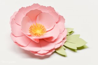 Detailed instructions on how to assemble the #Cricut 3D Flowers: Daffodil, Tiger Lily, Poppy, and Peony