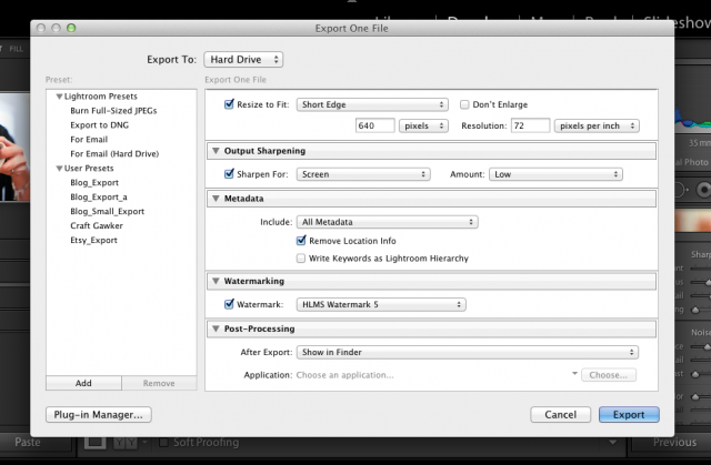 Screenshot of an export window open on a computer screen