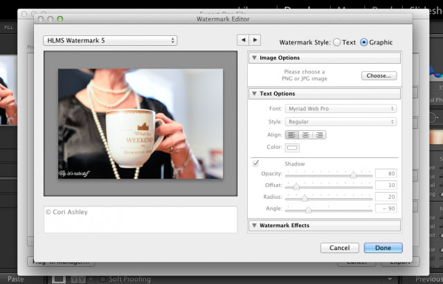 Screenshot of a watermark style window open on a computer screen
