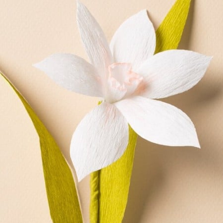 20+ Amazing Paper Flower Tutorials
