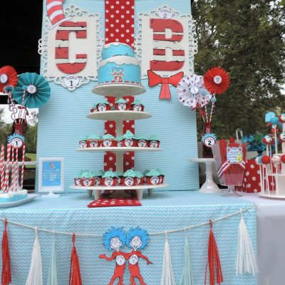 Adorable Twin Birthday Party Themes - Hey Let's Make Stuff