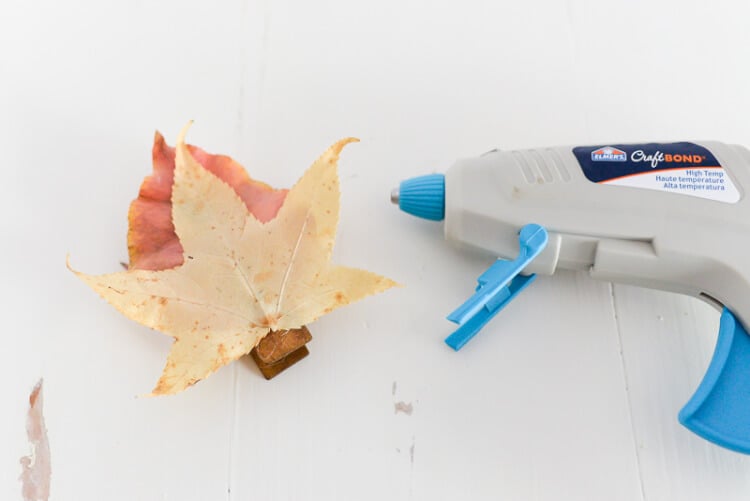 A glue gun next to leaves from a tree