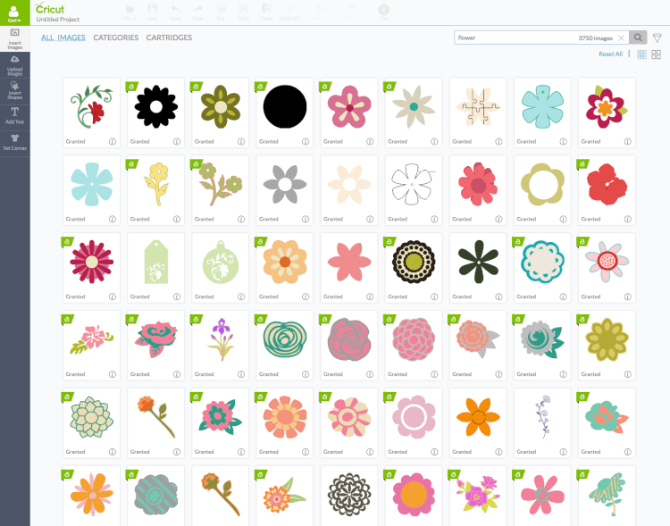Screenshot in Cricut Design Space of several images of floral designs