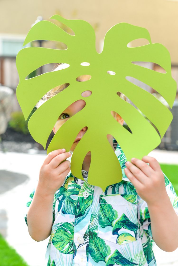 A little boy holding a large paper cut tropical leaf