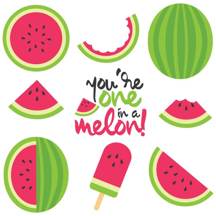 Close up of several images of watermelon themed cut files including one with text that says, \"You\'re One in a Melon!\"