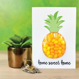 A set of keys, a plant and a card with a pineapple image on ti and the text, "Home Sweet Home"