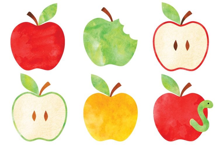 Go back to school with this free watercolor apple clip art! Nine delicious designs for all of your school projects. 