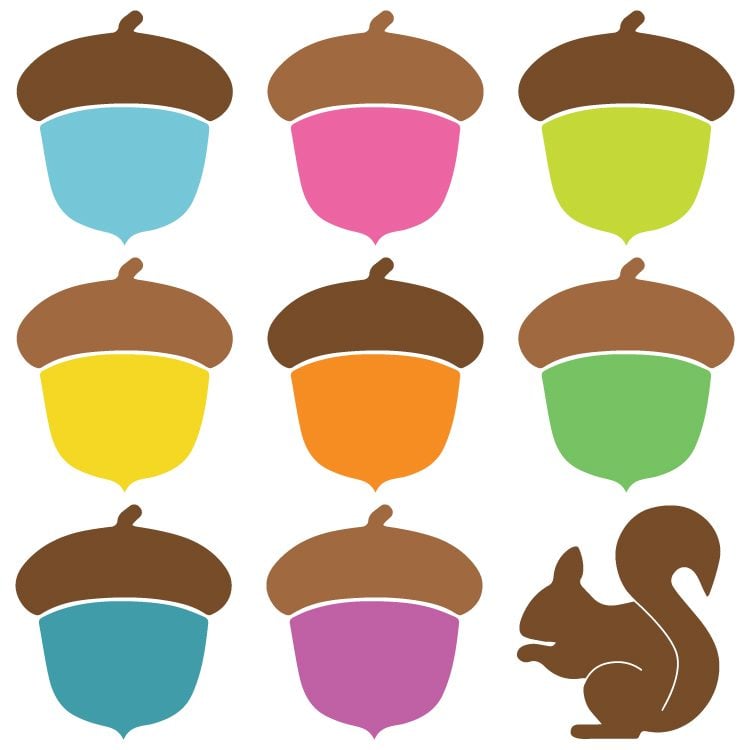 Images of a squirrel and colorful acorns