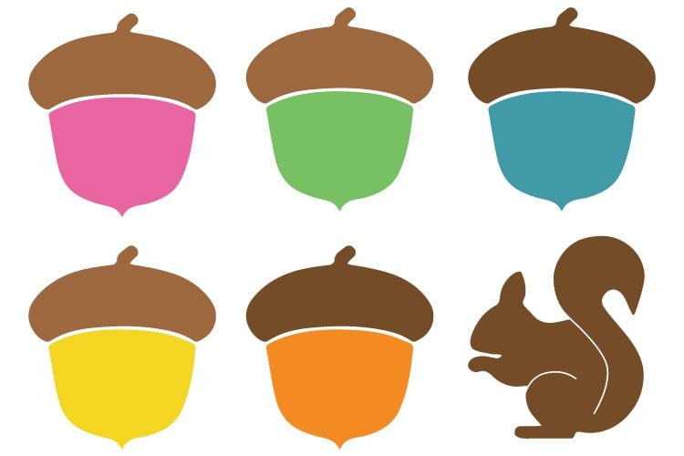 Images of a squirrel and colorful acorns