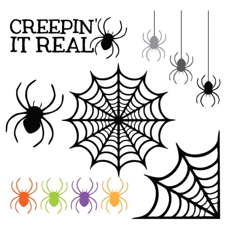 Cut file images of spiders and a spiderwebs along with the saying, \"Creepin\' It Real\"