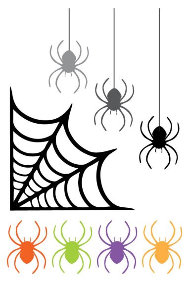 Images of spiders and a spiderweb