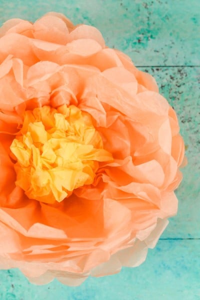 Close up of an orange and yellow paper tissue flower against an aqua background
