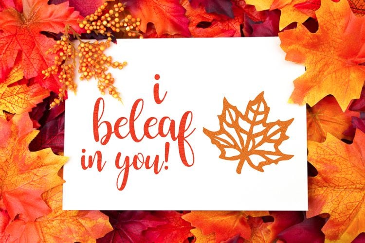 A piece of paper surrounded by fall foliage, and the paper is decorated with an orange-colored leaf and the text, \"I Beleaf in You!\"
