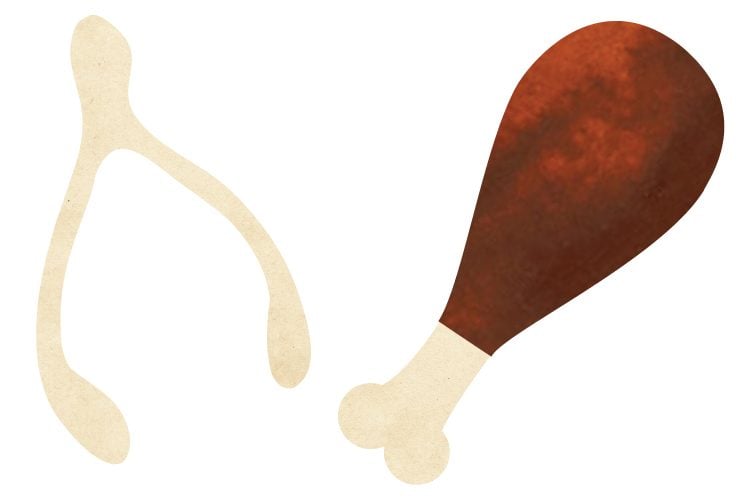 Close up of a turkey drumstick and wishbone clip art