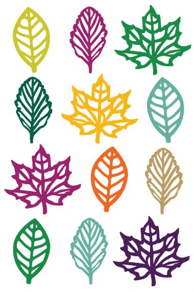 Images of different shaped leaves
