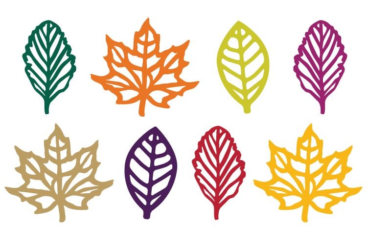 Images of different shaped leaves