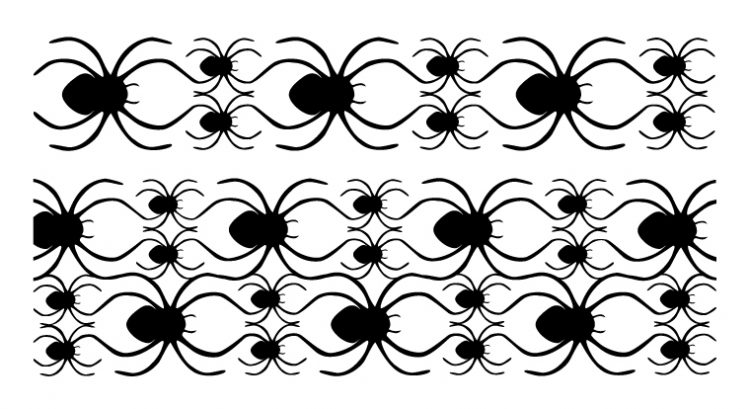 Image of a spider pattern