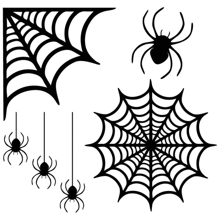 Download Spider Web Window Clings - Hey, Let's Make Stuff