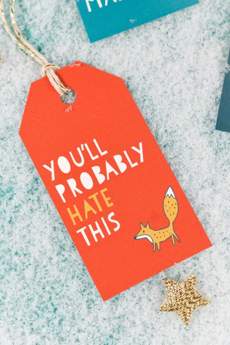 Close up of a Christmas gift tag that says, \"You\'ll Probably Hate This\"