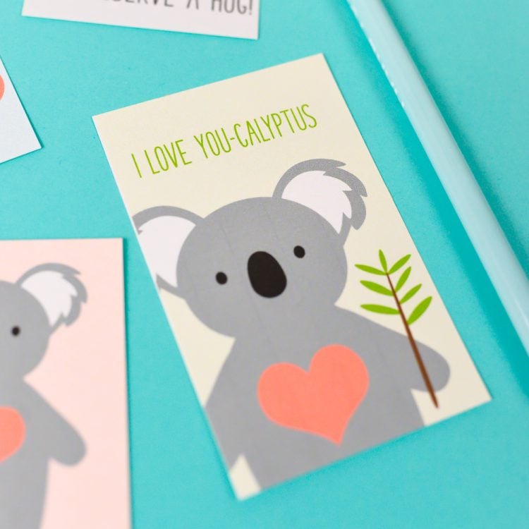 Close up of a Koala Valentine card that says, \"I Love You-Calyptus\"