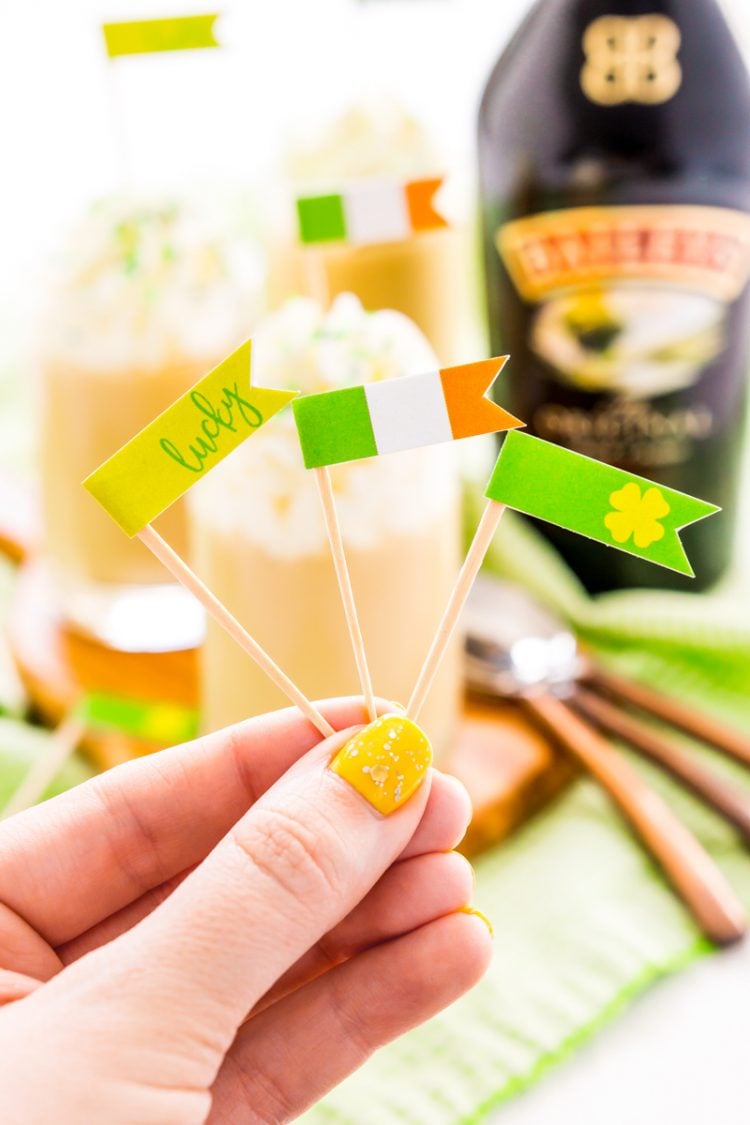 Dress up those St. Patrick's Day inspired drinks with these FREE festive printable food flags! Three versions, great for both Irish food and drinks. 