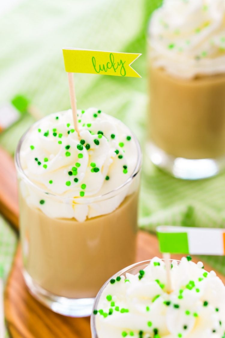 Dress up those St. Patrick's Day inspired drinks with these FREE festive printable food flags! Three versions, great for both Irish food and drinks.