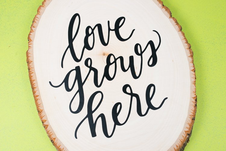 A close up of an oval piece of wood with the saying, "Love Grows Here" on it