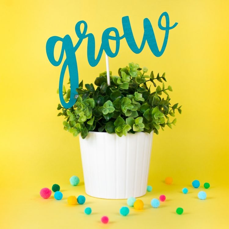 Colorful pom poms around a white potted plant with a topper in it that says, \"Grow\"