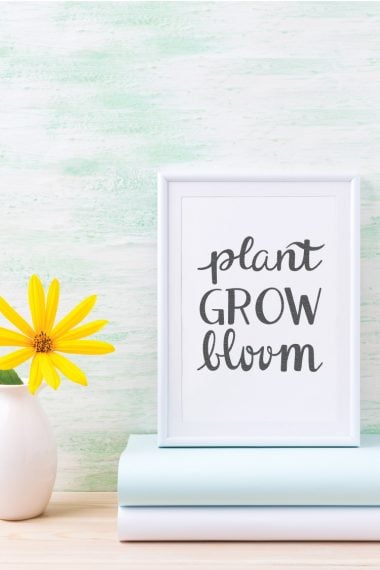 A yellow flower in a white vase and two book lying horizontally on a table with a white framed sign on top of the books that says, "Plant Grow Bloom"