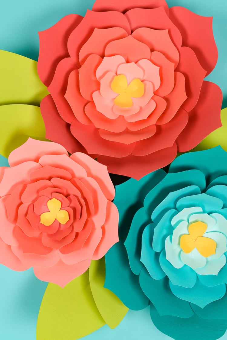 Free Free Free Svg Giant Paper Flower Template 625 SVG PNG EPS DXF File