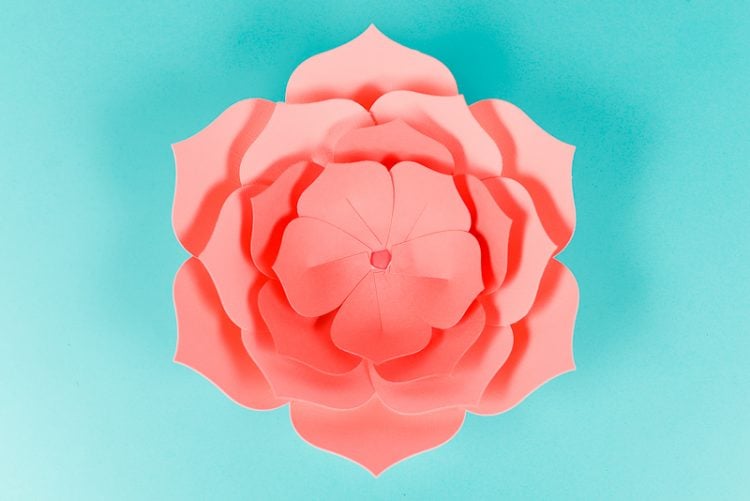 Download Giant Paper Flowers Template Tips And Tricks To Make It Easy PSD Mockup Templates