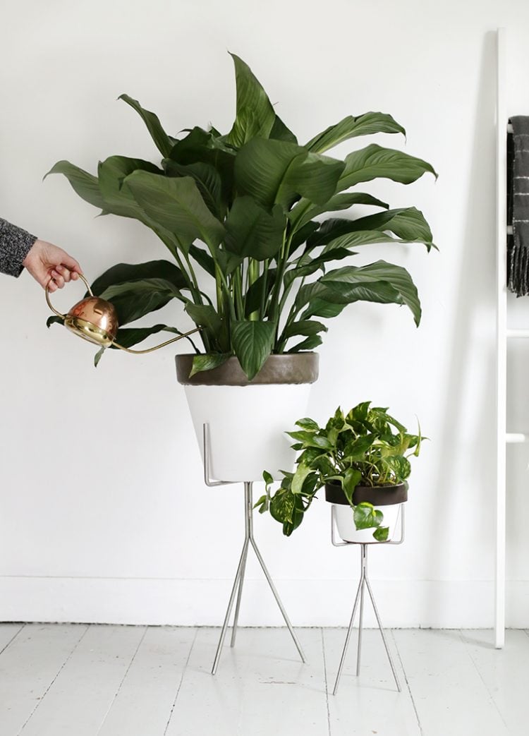 Leather Trim Planters - The Merry Thought