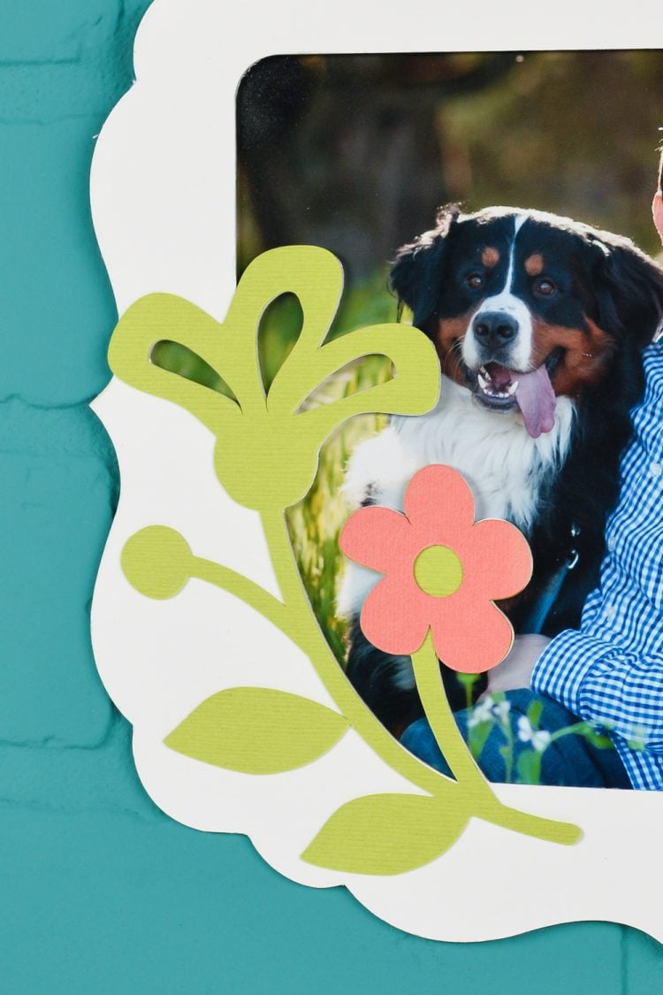 Close up of picture of a dog and the frame made from matboard