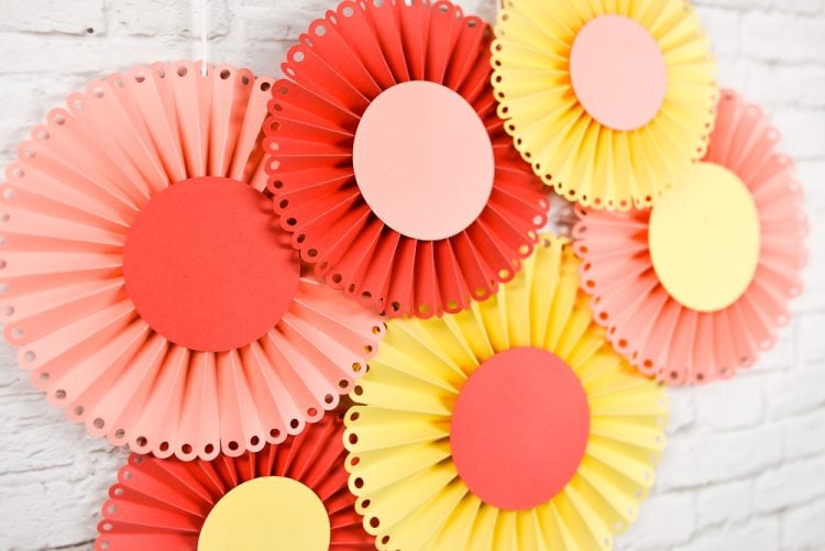 Close up of paper rosettes