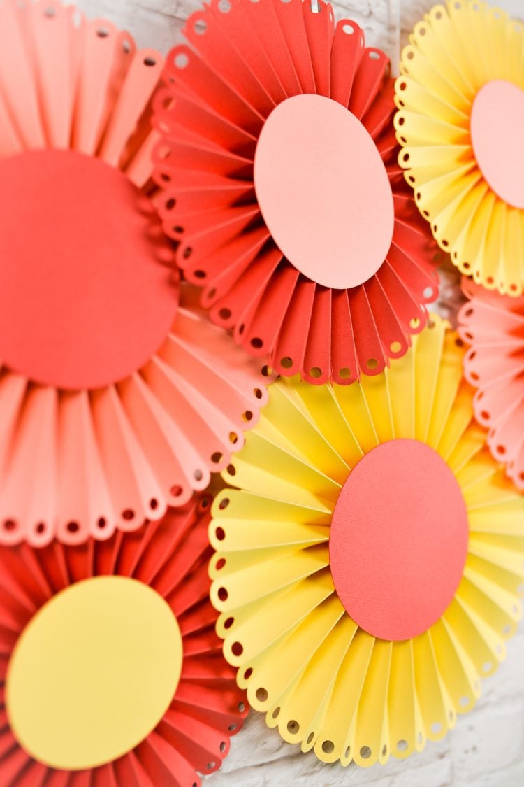 Close up of paper rosettes