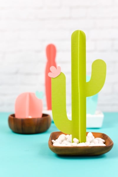 Images of cactuses cut from paper