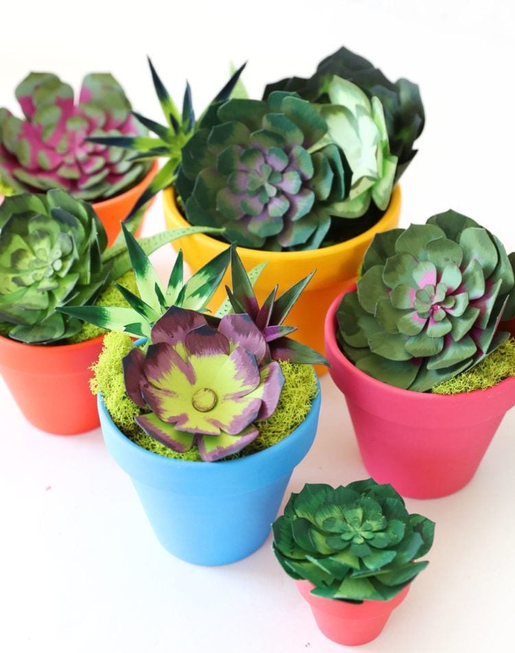 How to Make Realistic Paper Succulents with Cricut